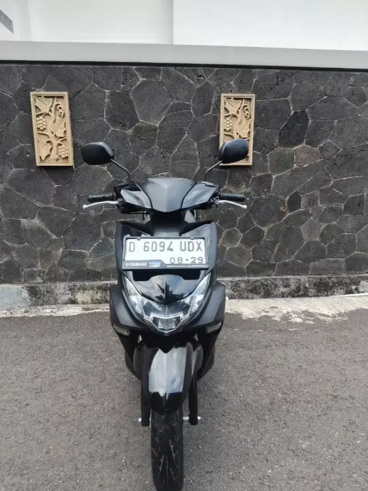 yamaha freego 2019
