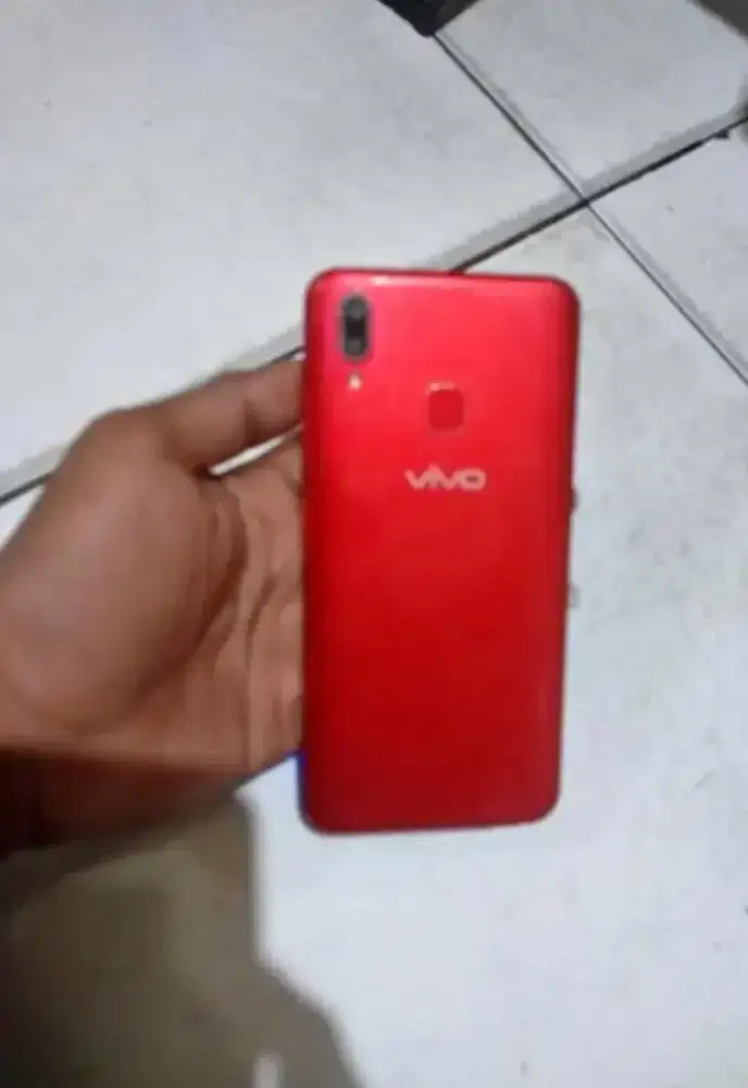 Vivo ajah nominus gan