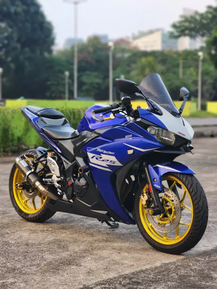 Yamaha R25 With Leovinve