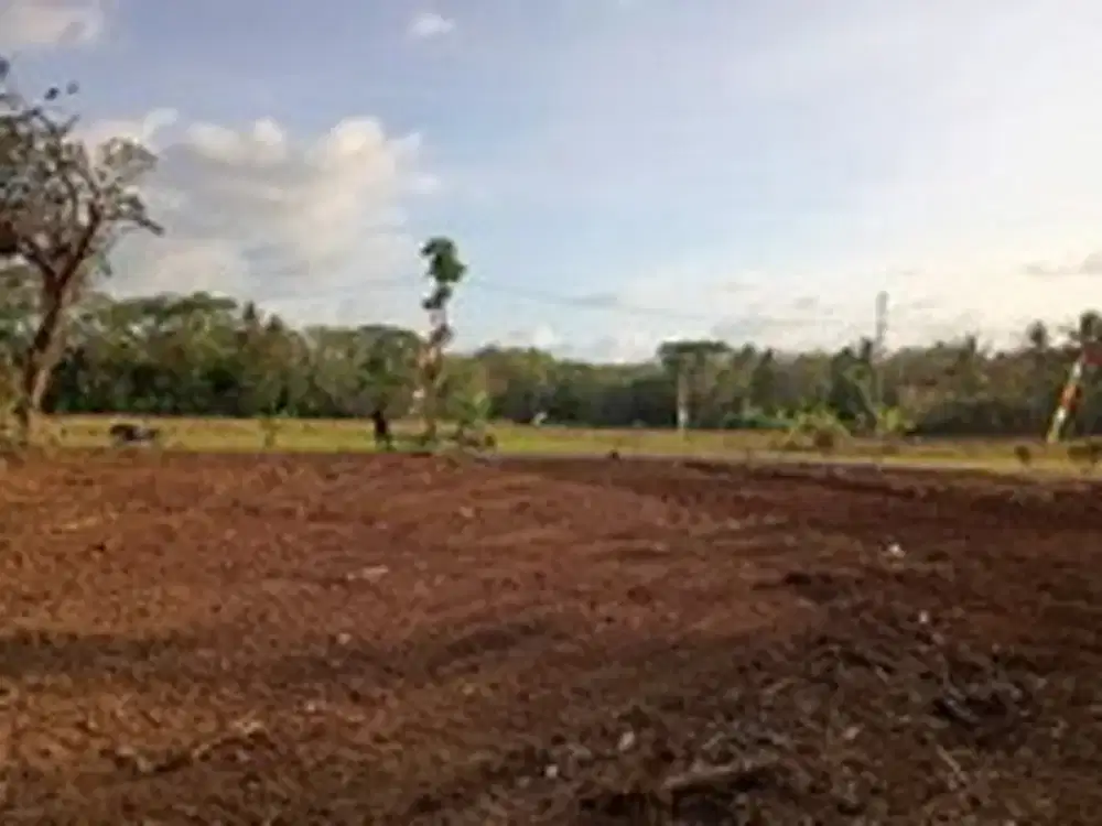 Tanah Jogja, 8 Menit Barat Ps Godean, Akad di Notaris