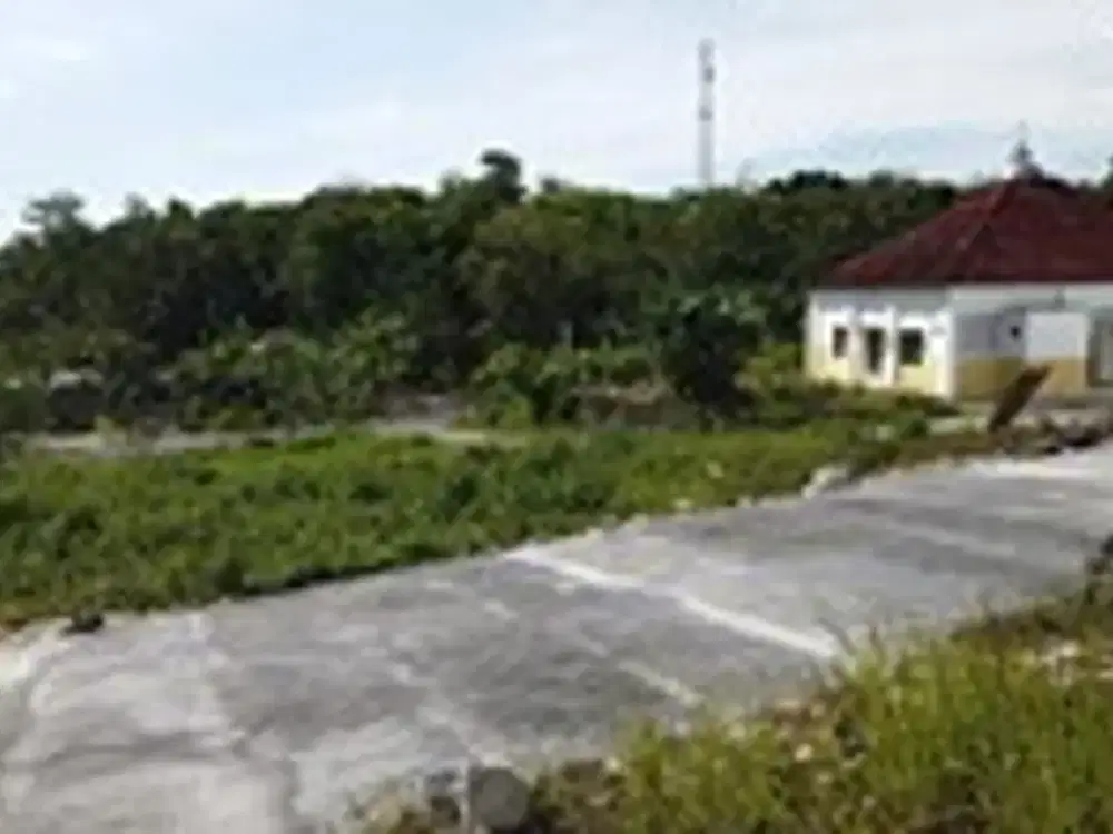 Tanah Sleman: Dijual Pekarangan di Ambarketawang, Milik Pribadi