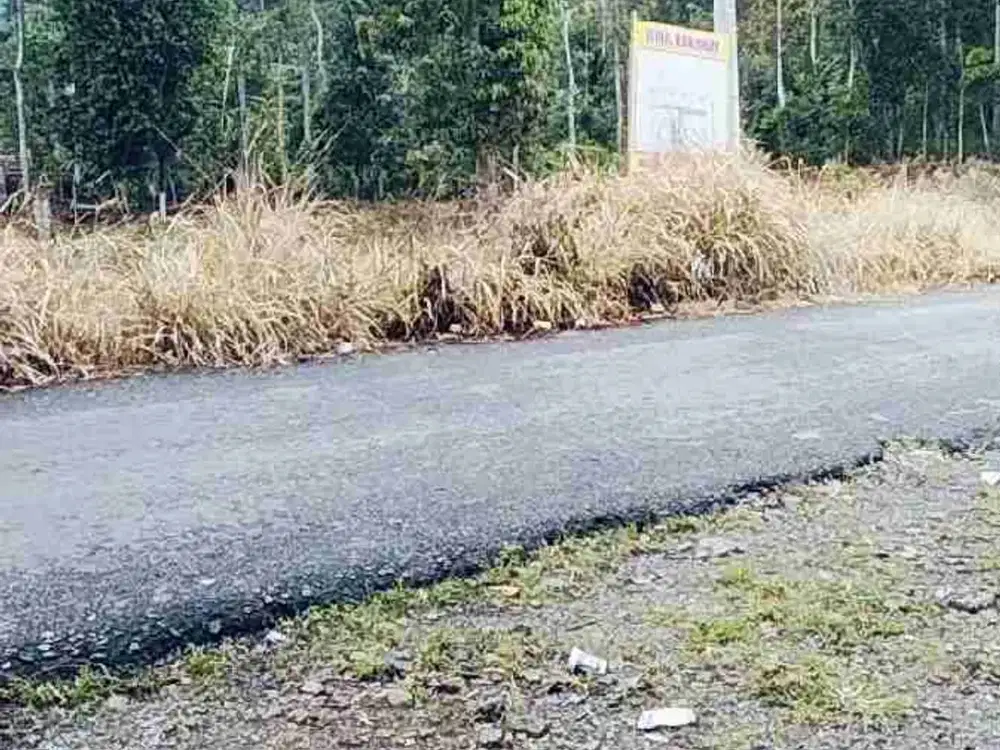 TANAH KAVLINGAN MURAH DI KOTA BATU WARKUK RANAU SELATAN