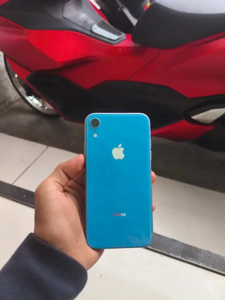iPhone xr 64 GB iBox
