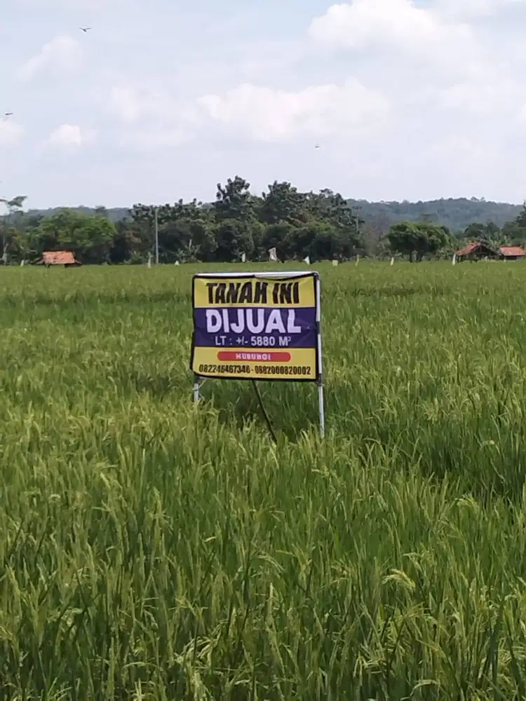 Tanah Prospektif di Jalan Raya Burujul untuk Gudang atau perumahan