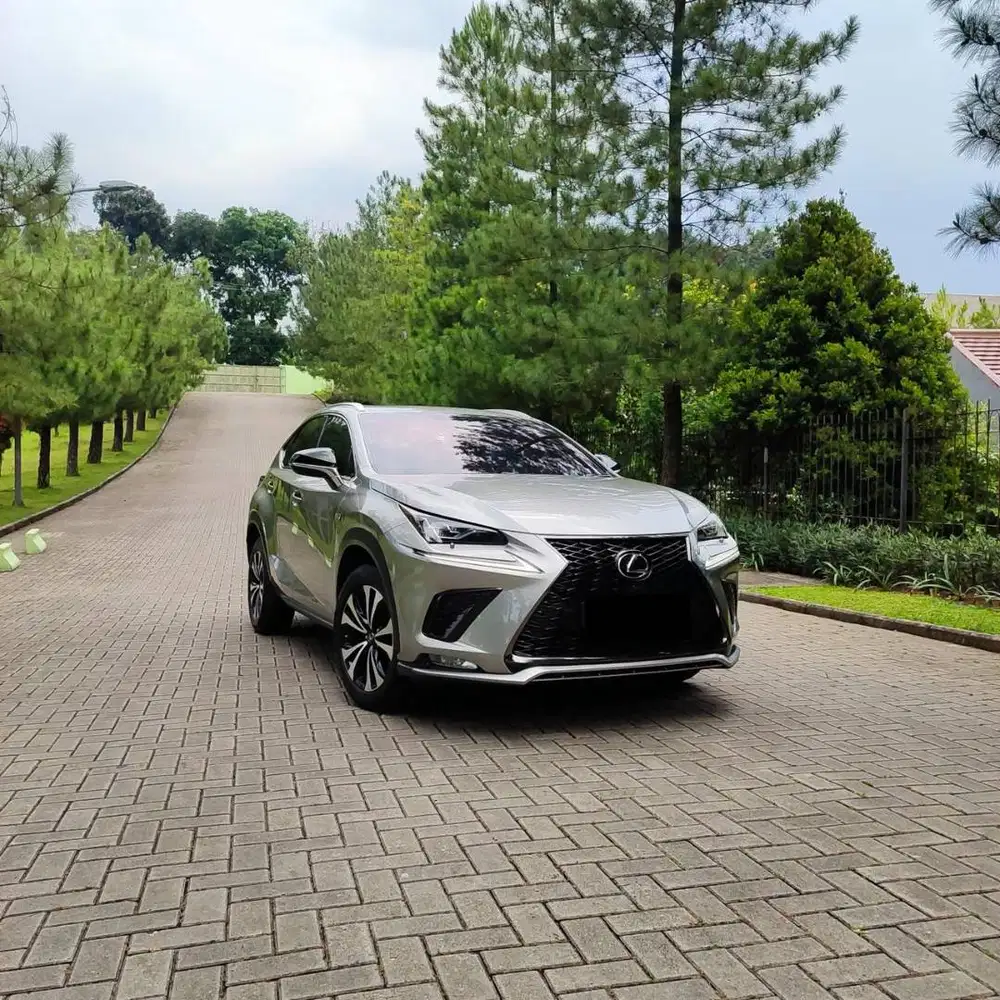 2018 Lexus NX300 F Sport 2.0 AT