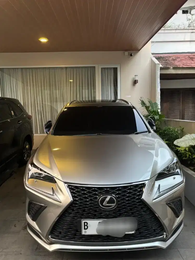 Lexus NX 300 F-Sport 2018