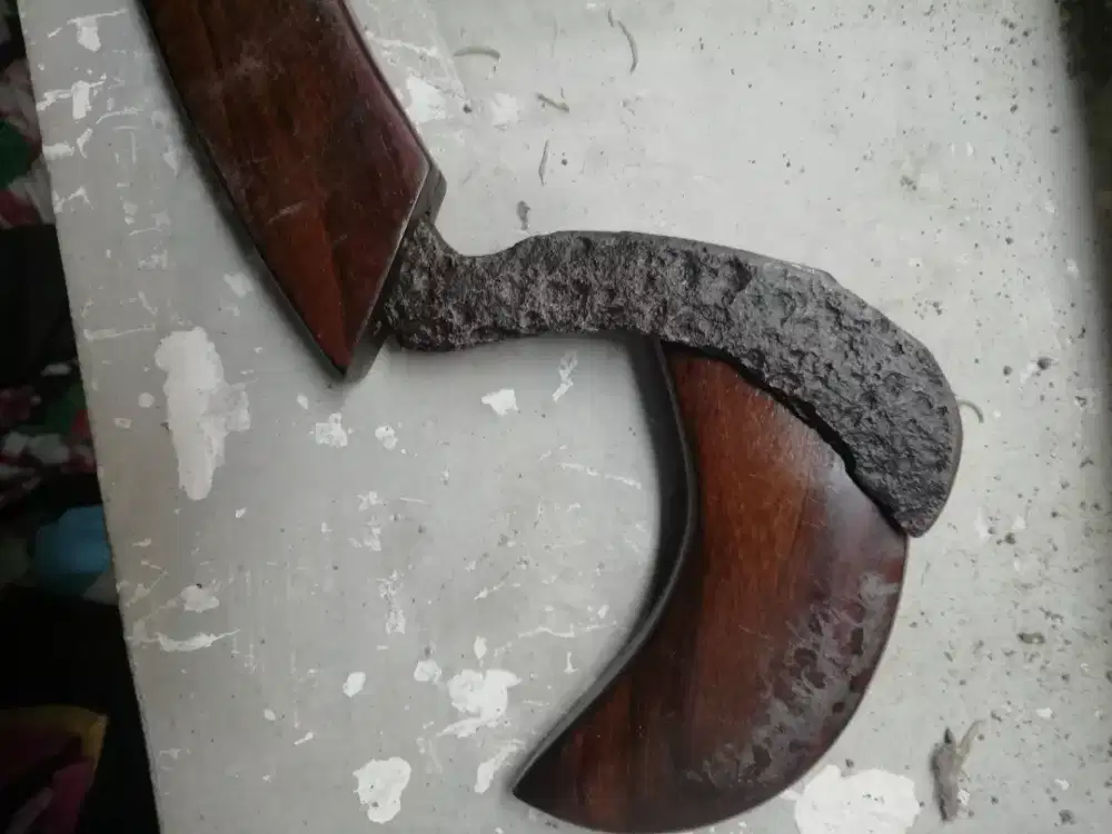 Jual kudi kabudan