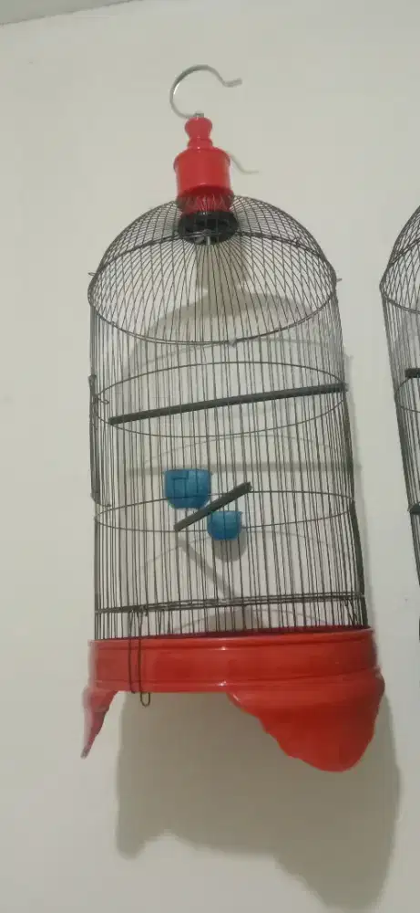kandang pvc baru