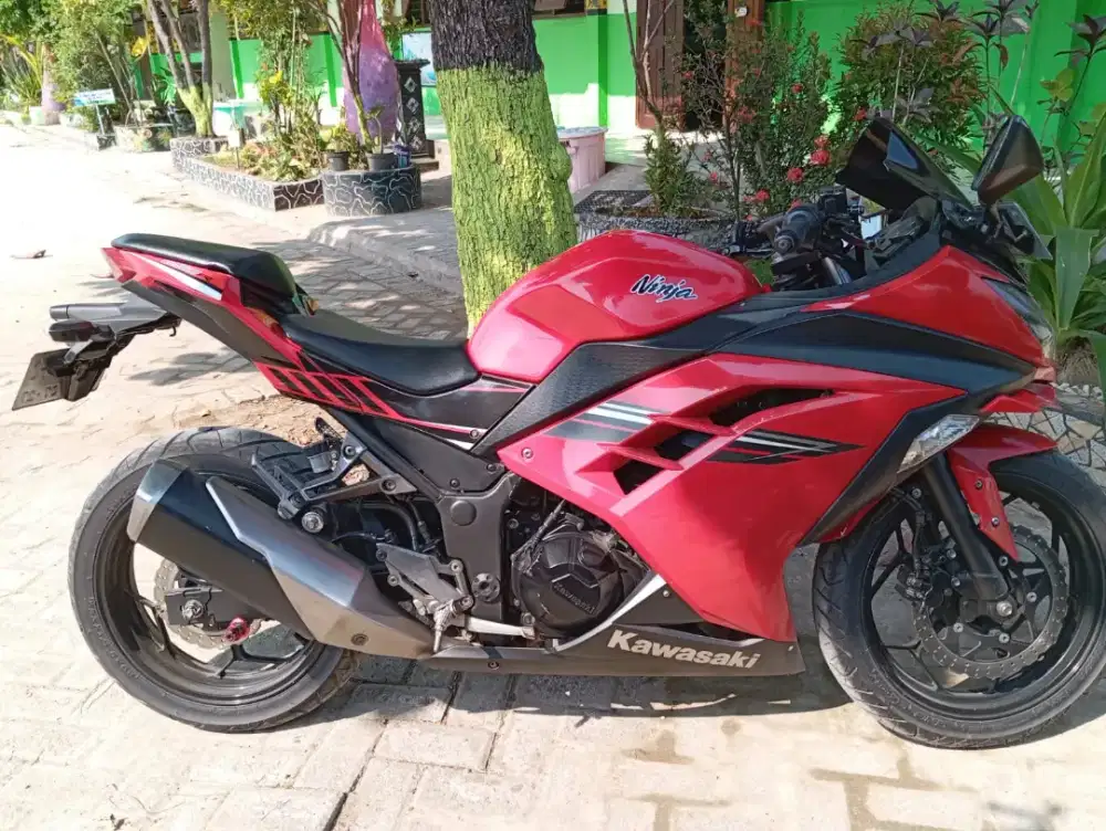 Ninja 250 Fi 2017