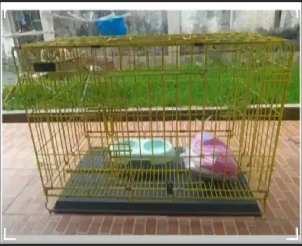 Kandang Kucing Baja Anti Karat Merk Paws N Tails