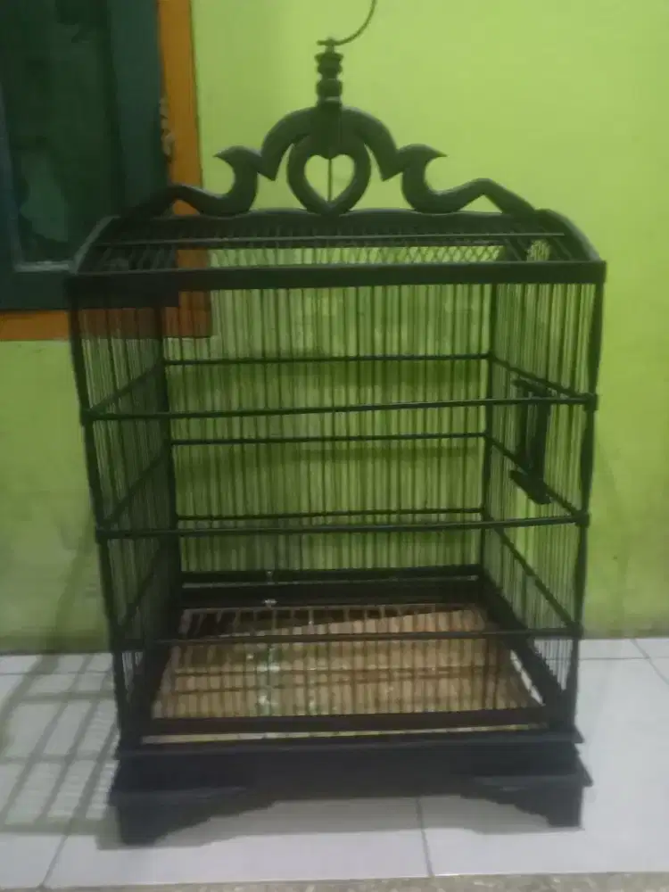 Sangkar Burung Kokoh