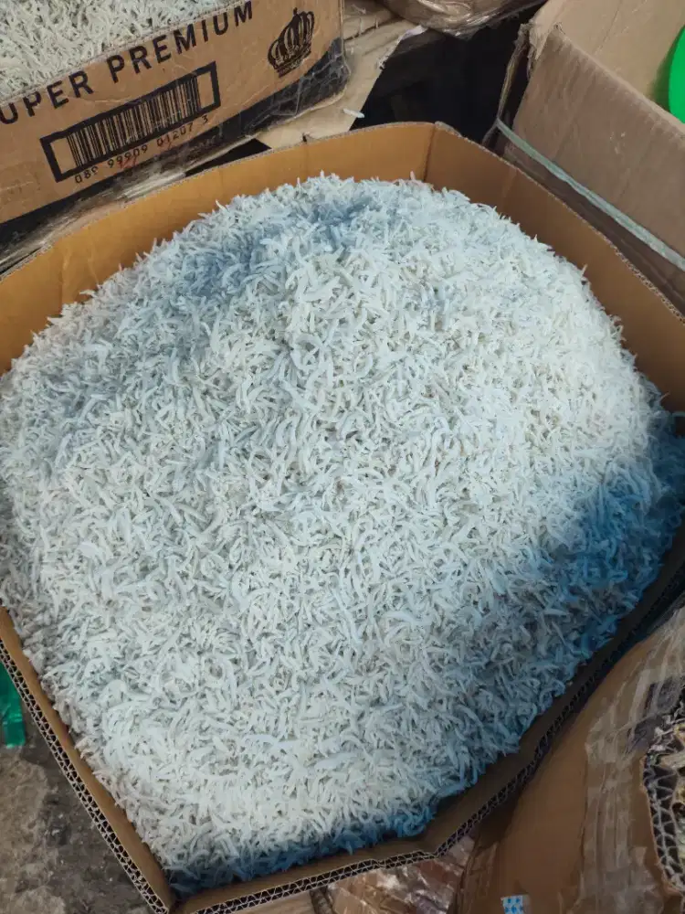 ikan teri Medan original