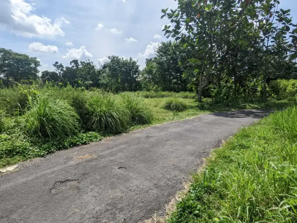 Dekat Pasar Rejodani Palagan, Tanah Ngaglik Jogja, SHM