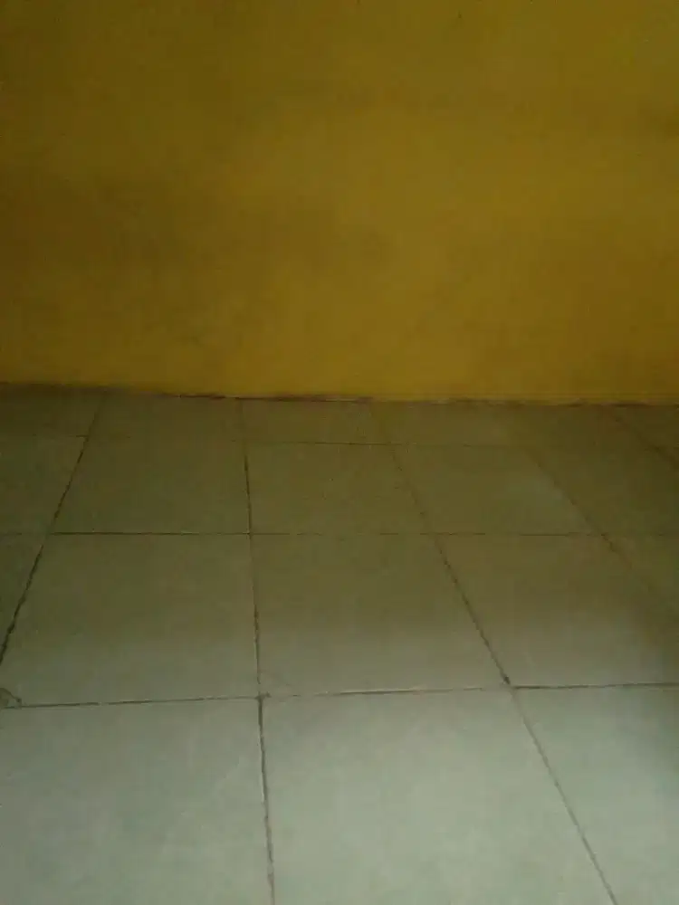 Jasa tukang cat