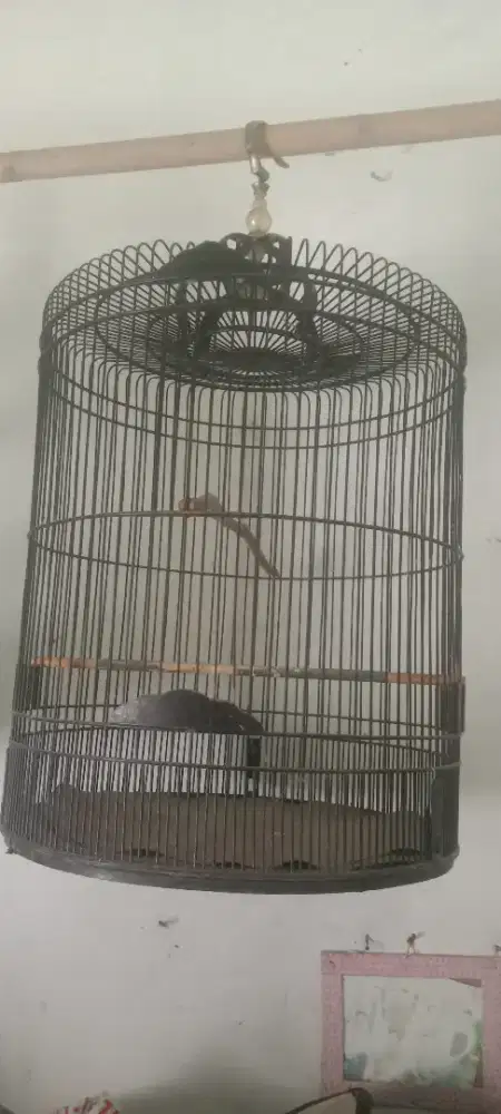 Kandang Murai BNR no 2