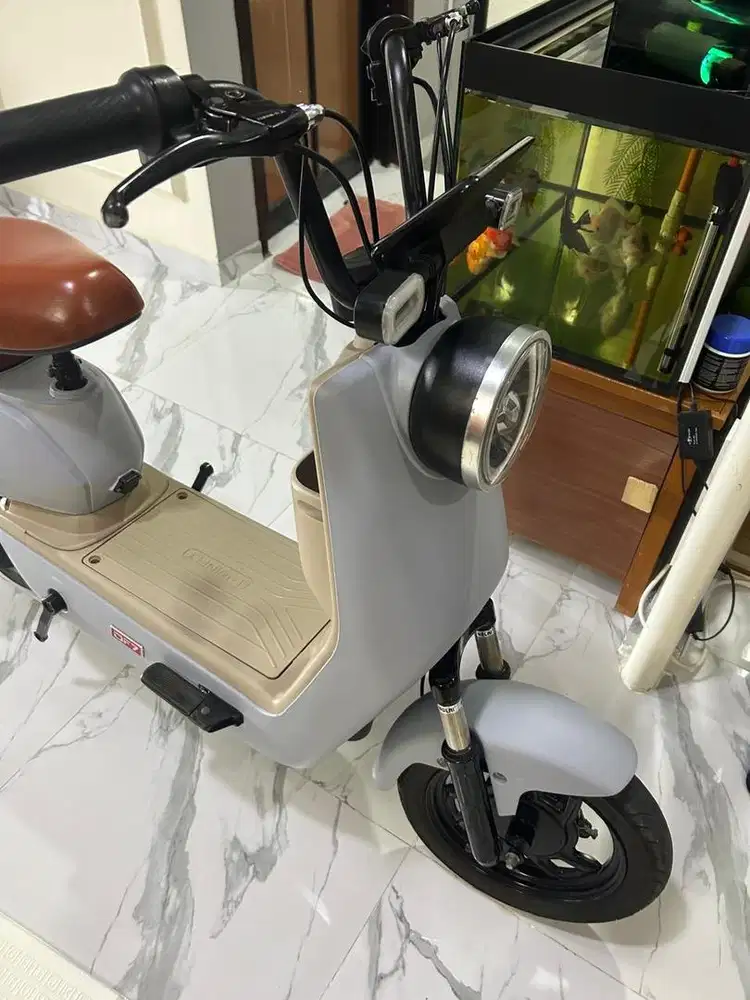 Sepeda listrik winfly df7