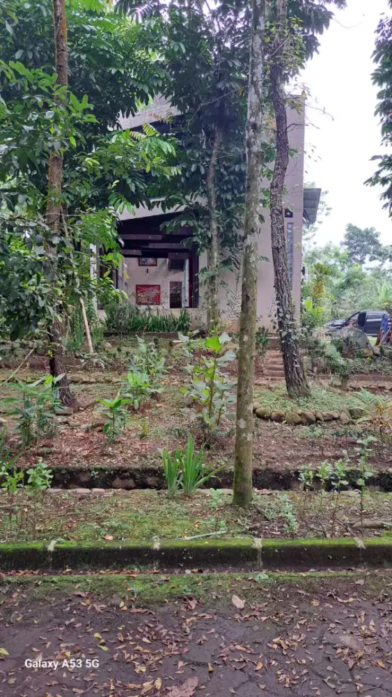 Rumah Unik Cocok Untuk Vila di Bogor Barat