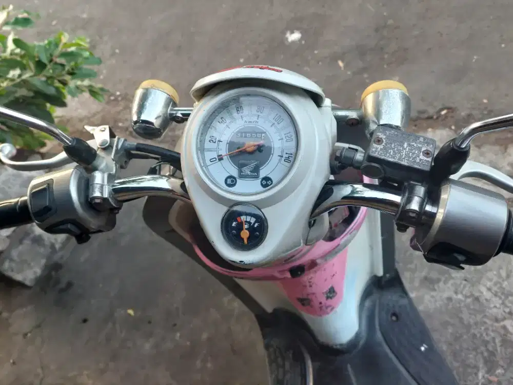 Scoppy 2010 ex cewek