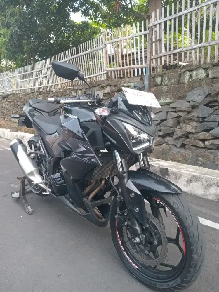 Kawasaki Z 250 FI