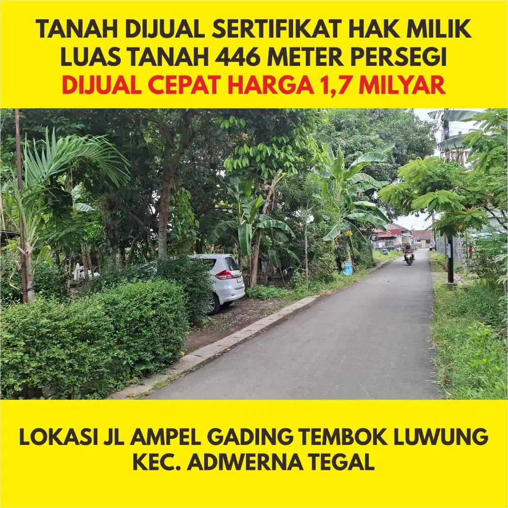 DIJUAL TANAH KERING SHM 446 M2 TEMBOK LUWUNG ADIWERNA SLAWI TEGAL