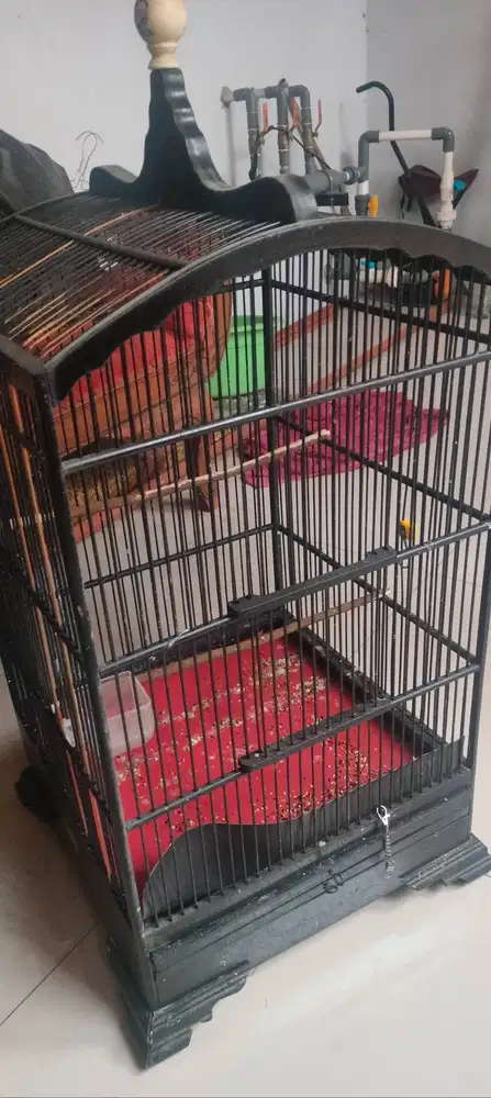 Dijual 2 sangkar burung