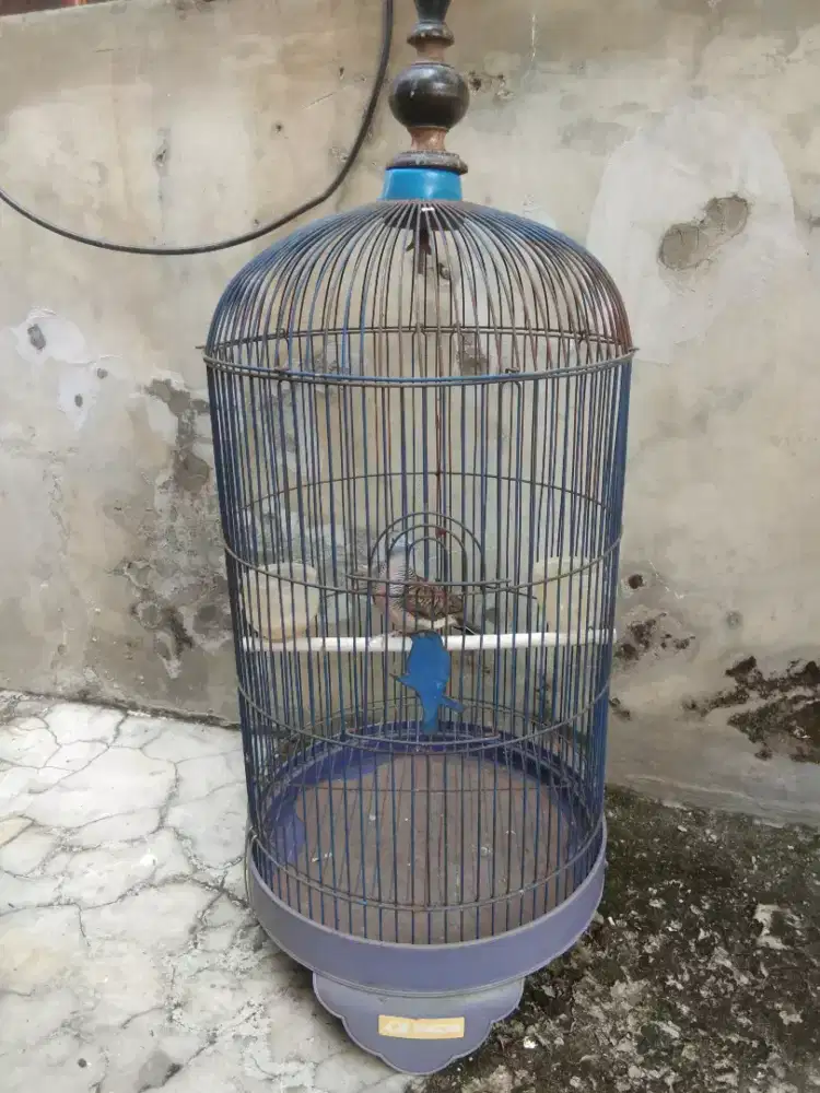 Kandang kapsul pintu tengah