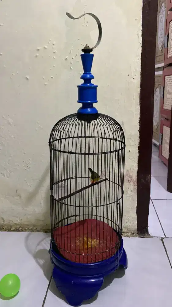 Jual kandang helopet