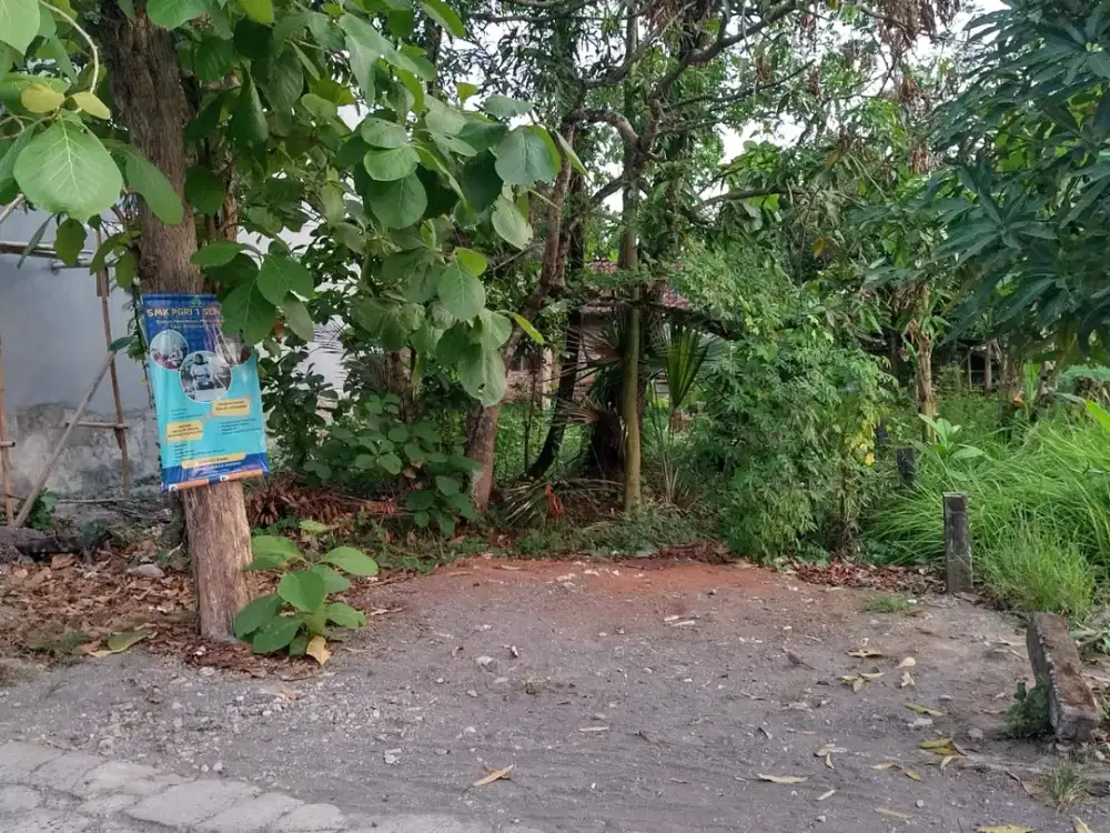 Tanah Pekarangan Bagus Murah di Sedayu Bantul #Kode : TP 152