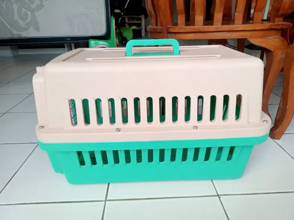 Pet cargo ukuran sedang