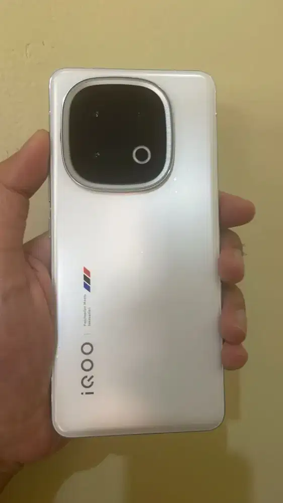 Vivo iqoo 13 12/256