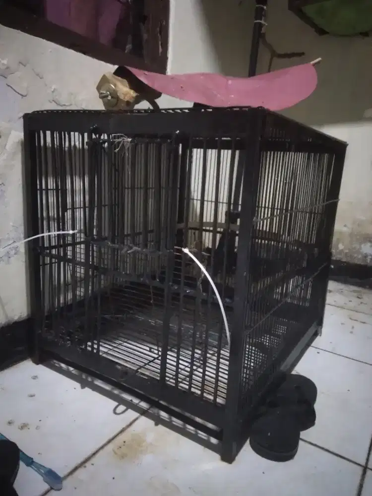 Kandang kucing .anjing. musang besi tralis tebal las custom 60x70x60