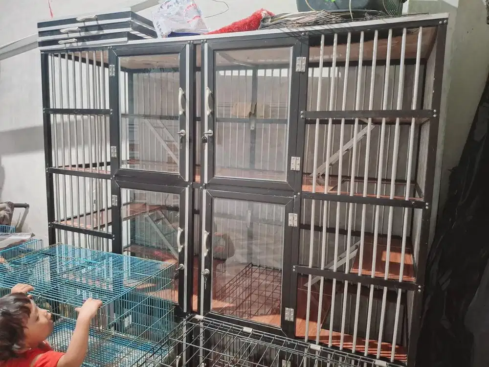 Kandang kucing tingkat