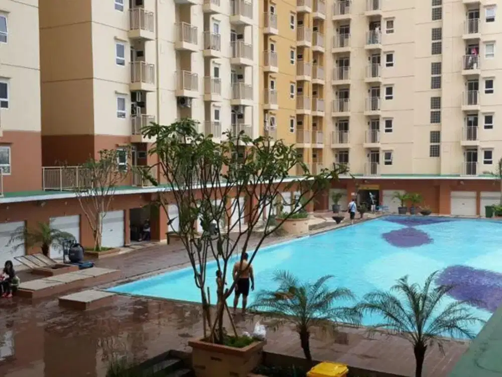 apt green palm