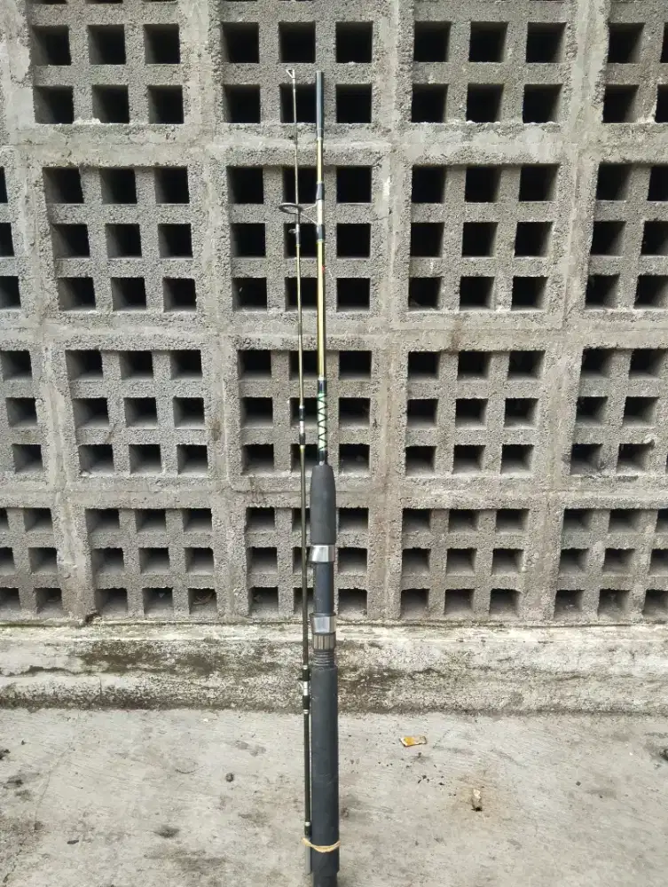 Joran goldenfish