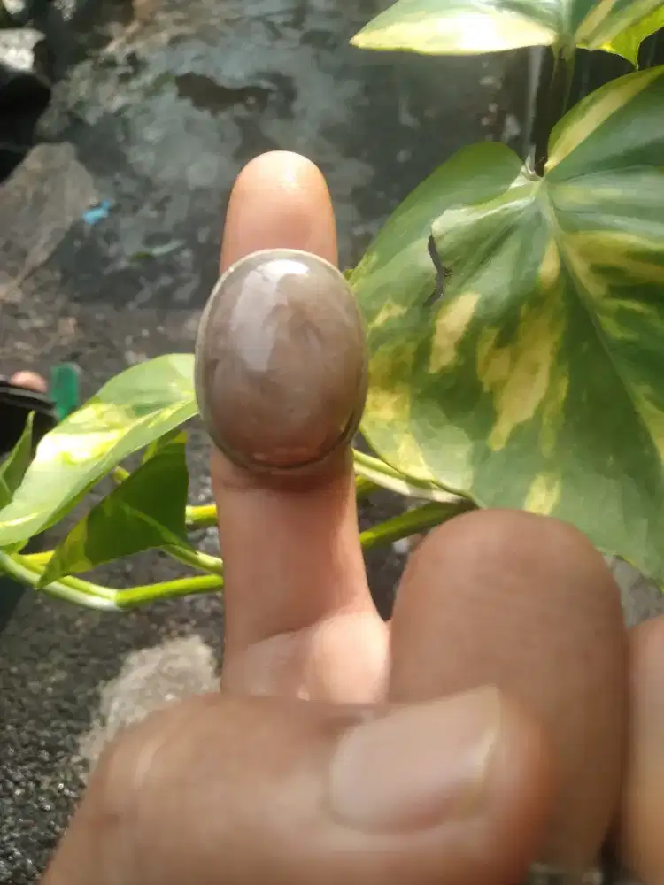 Batu mus_tika succubus asli alam nawangsih
