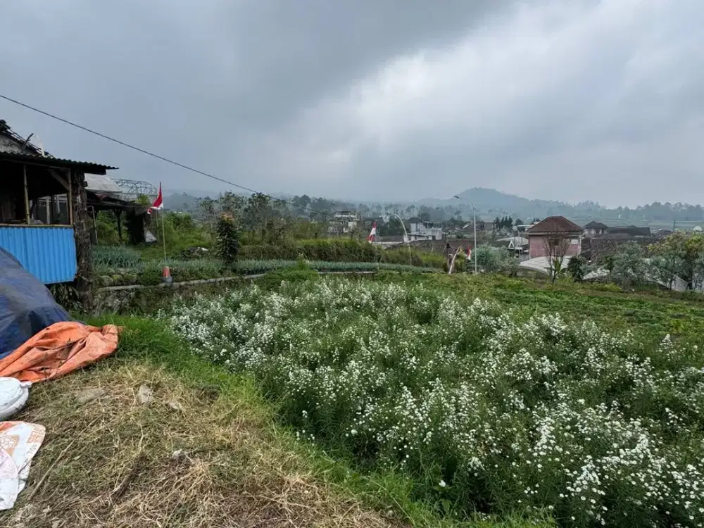 dijual tanah kota batu cocok buat villa kebun