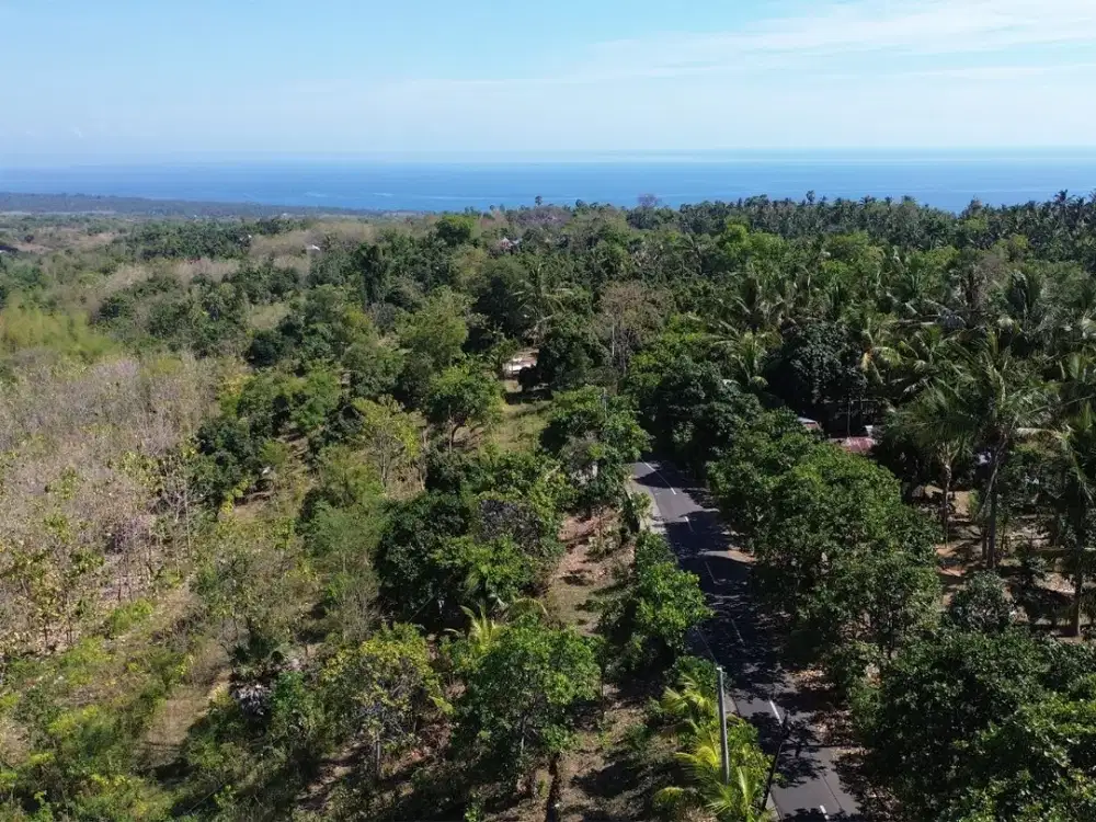 Tanah View Laut di Kubutambahan Buleleng