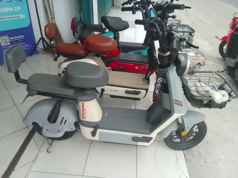 E-bike Pasific relicus