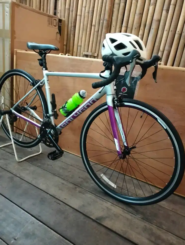 Roadbike Polygon S2