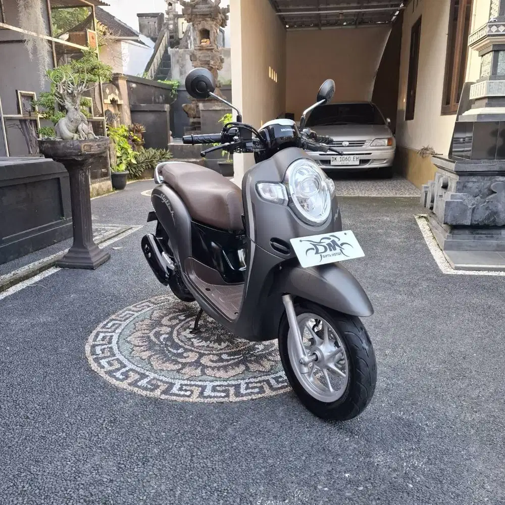 Scoopy Stylish th 2020