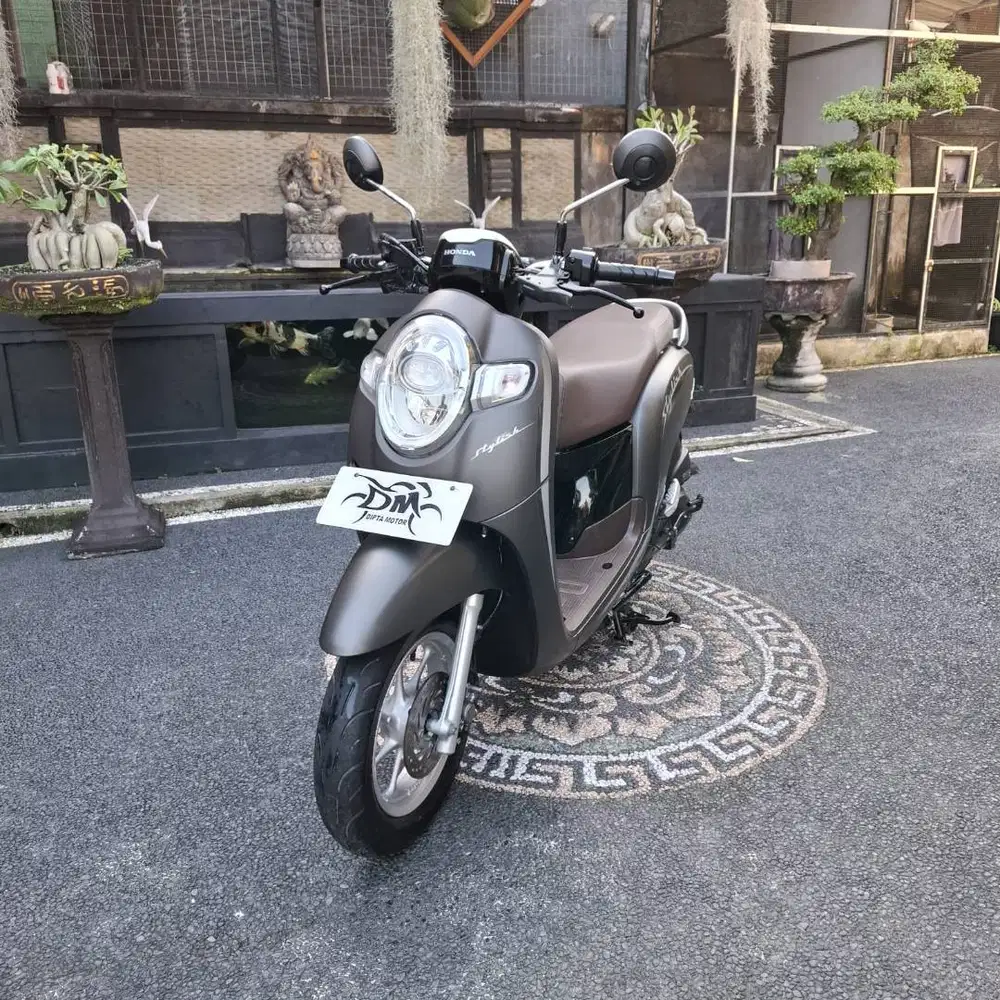 Scoopy Stylish th 2020