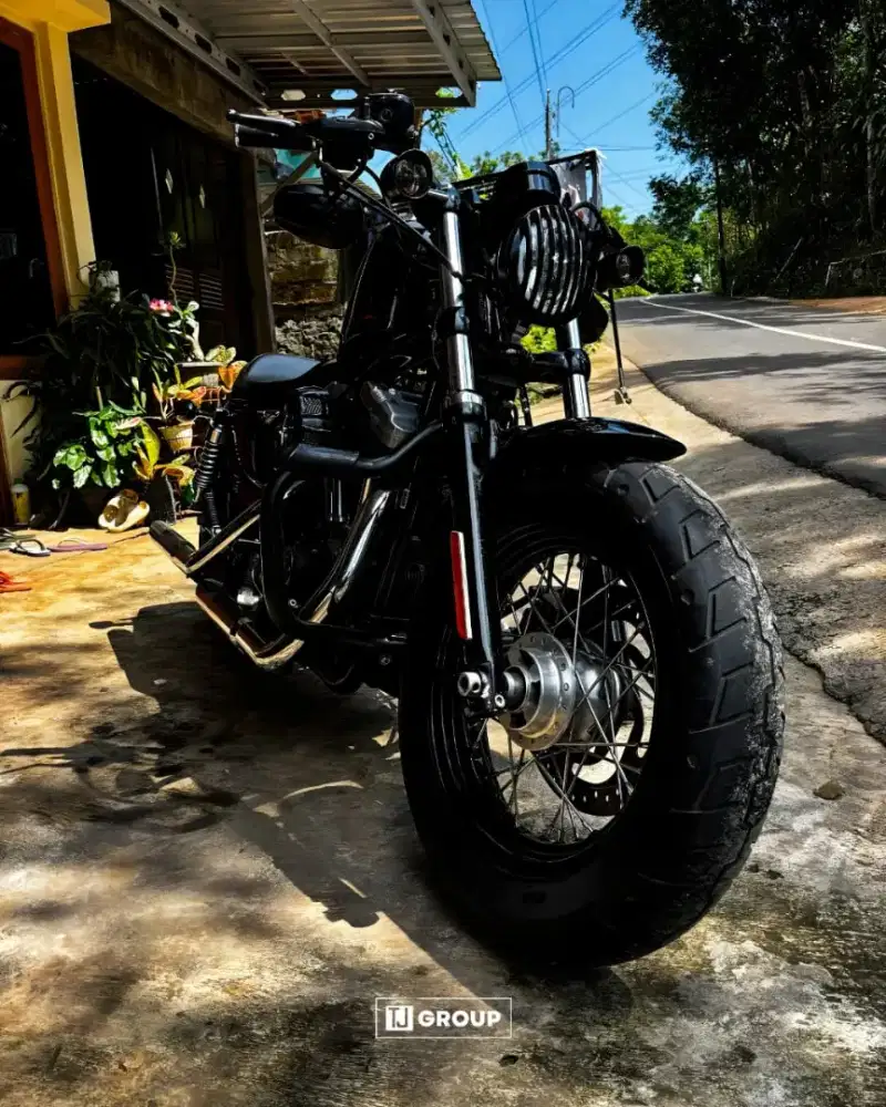 Harley Davidson 48 2014