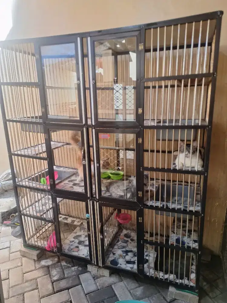 Kandang kucing aluminium 2 dan 6 pintu