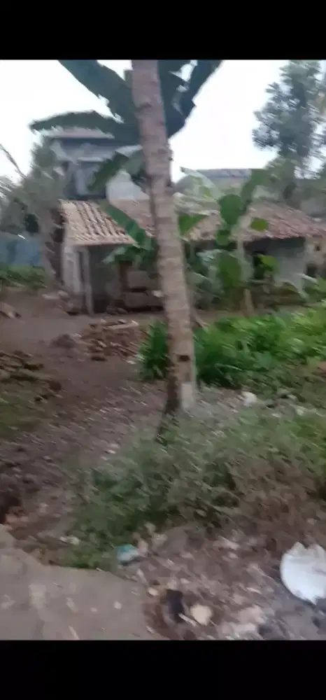 Dijual tanah pekarangan cocok buat tempat tinggal adem n nyaman