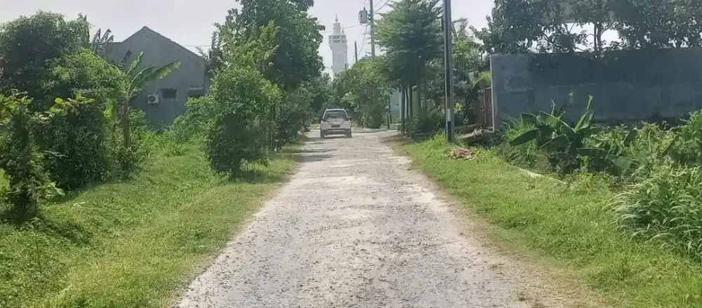 Pekarangan Karanganyar kota