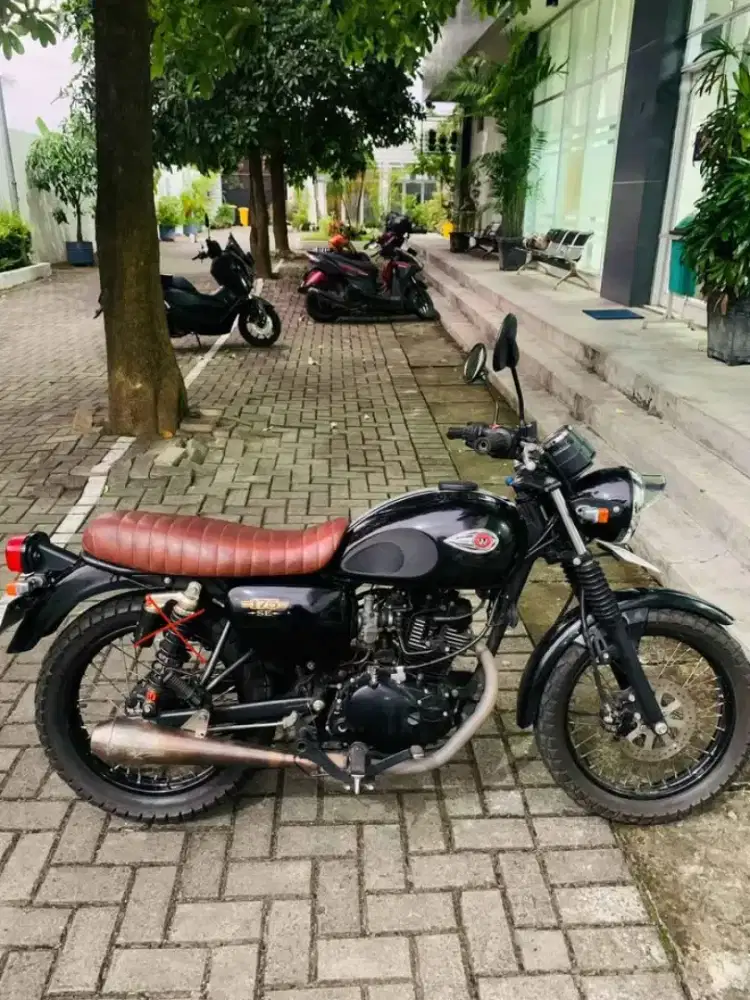 Kawasaki W 175 SE