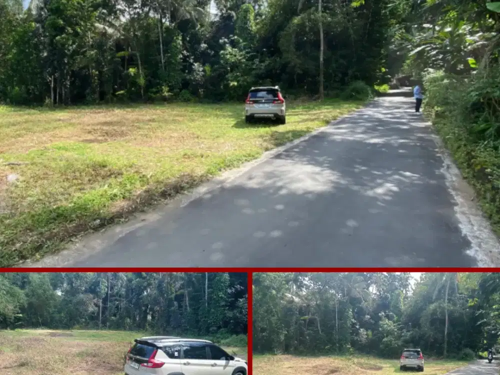 Tanah Di Jalan Magelang Area Pemda Sleman 157jt