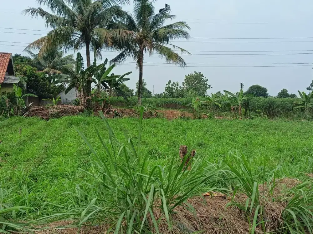 Kavling Termurah Lokasi Paling Strategis Cocok Untuk Hunian Dan Investasi Legalitas SHM