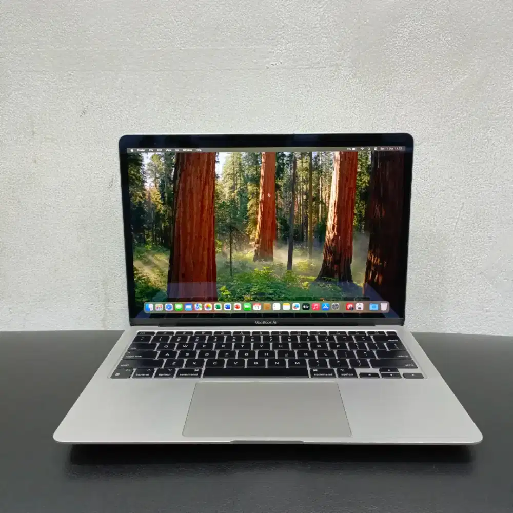 Macbook Air Retina 13-inch 2020 Chip M1 RAM 8GB SSD 256GB