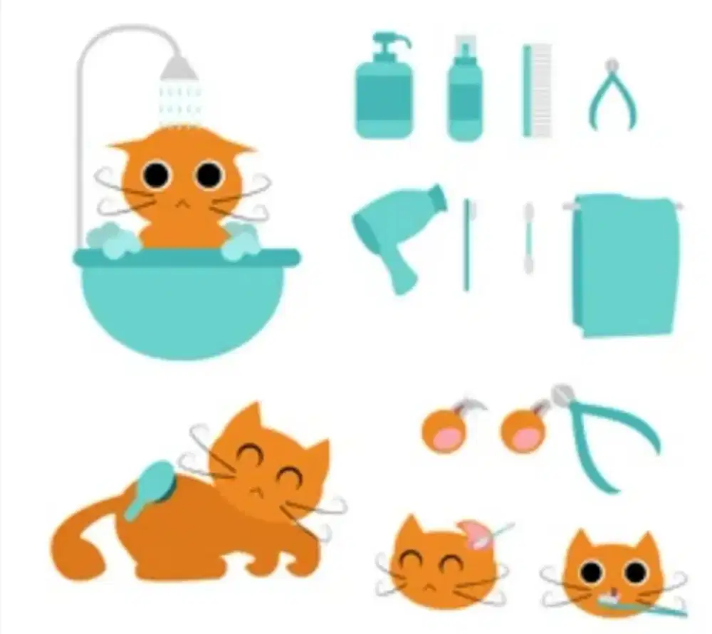 Pet hotel, groming, pacak, perlengkapan
